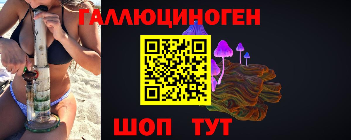 Галлюциногенные грибы мицелий Верхняя Пышма