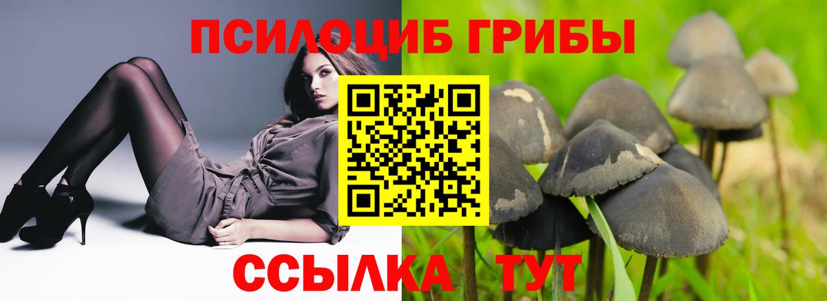 Псилоцибиновые грибы Psilocybine cubensis  Псилоцибиновые грибы ЛСД  Вход с VPN  Верхняя Пышма 
